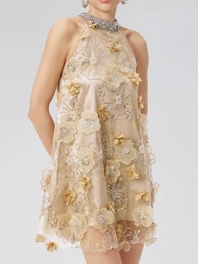 Rich Radi QS Embellished Halter Mini in Champagne